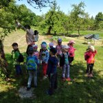 phoca_thumb_m_poklad krteci 39 Fotogalerie